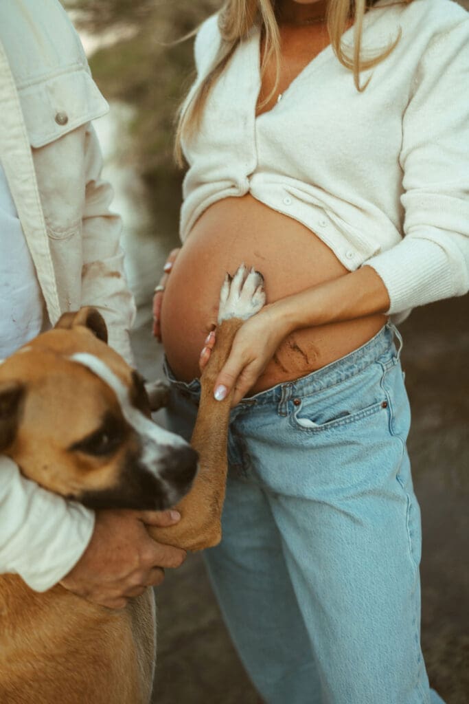 Close-up maternity detail photo with family dog beside expecting mother’s baby bump during a Salt River session.