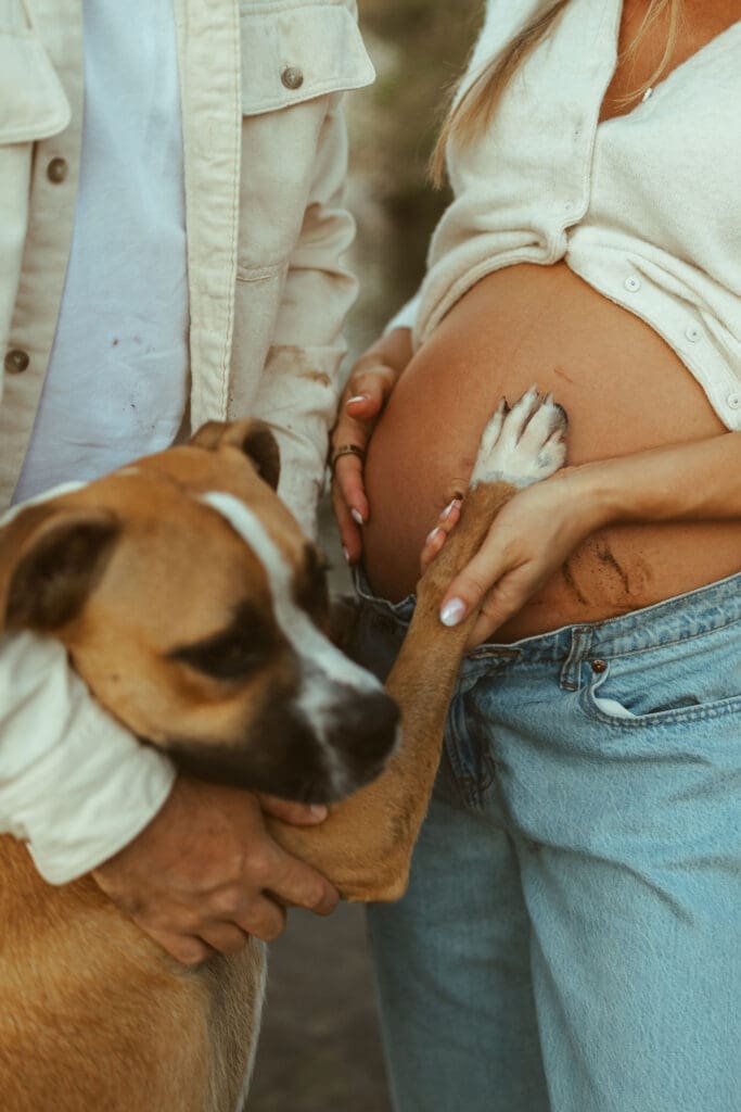 Intimate maternity portrait featuring hands on baby bump and dog beside the expecting couple.