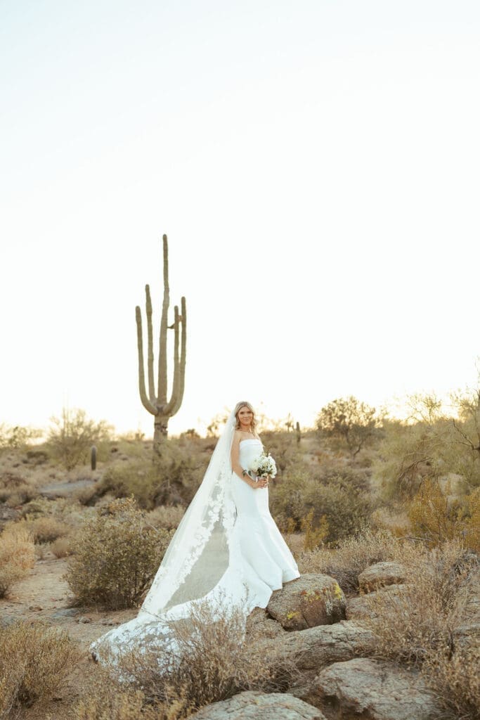 Bride standing beneath saguaro cacti during Arizona wedding portraits at The Paseo