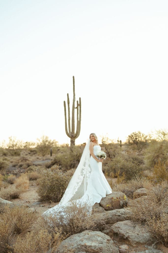 Arizona bride posing in desert landscape at The Paseo wedding venue