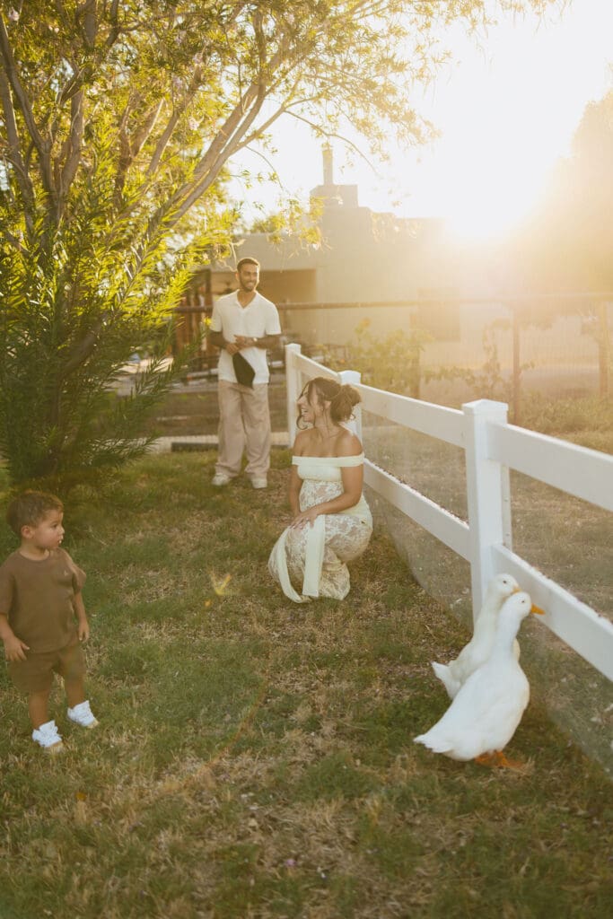 Family maternity session with ducks at Patch of Paradise AZ during golden hour near Gilbert, Arizona.