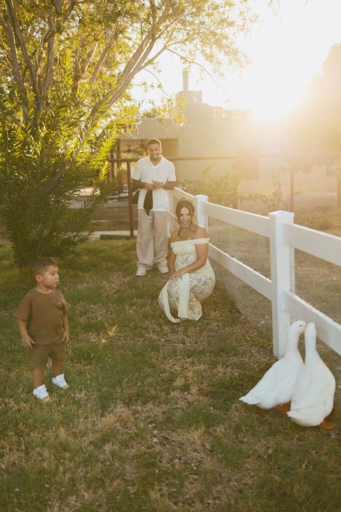 Expecting parents and their toddler enjoying a maternity session with farm animals in Queen Creek, Arizona.