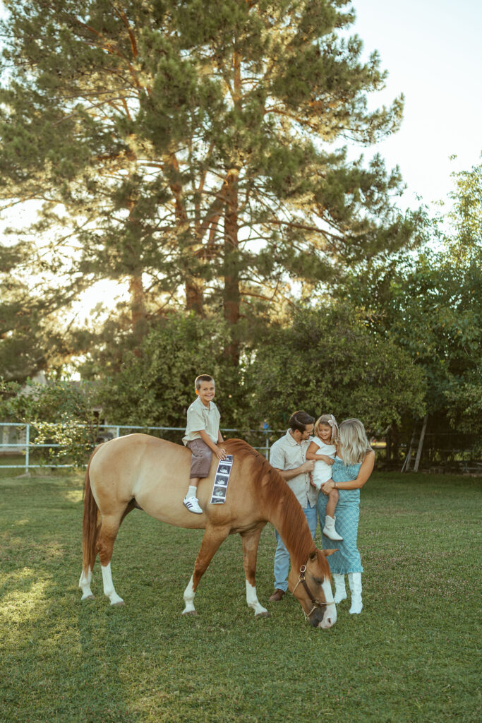 Family photos with horses capturing an expecting family gathered beside their horse during a relaxed pregnancy announcement session at Floyd Family Farms in Gilbert, Arizona.