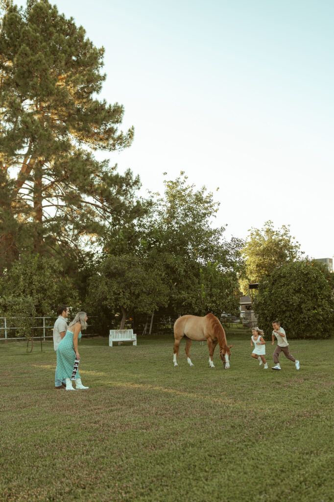 Lifestyle maternity photographer in Gilbert capturing an expecting family enjoying time with their horse while their children play across the pasture at Floyd Family Farms.