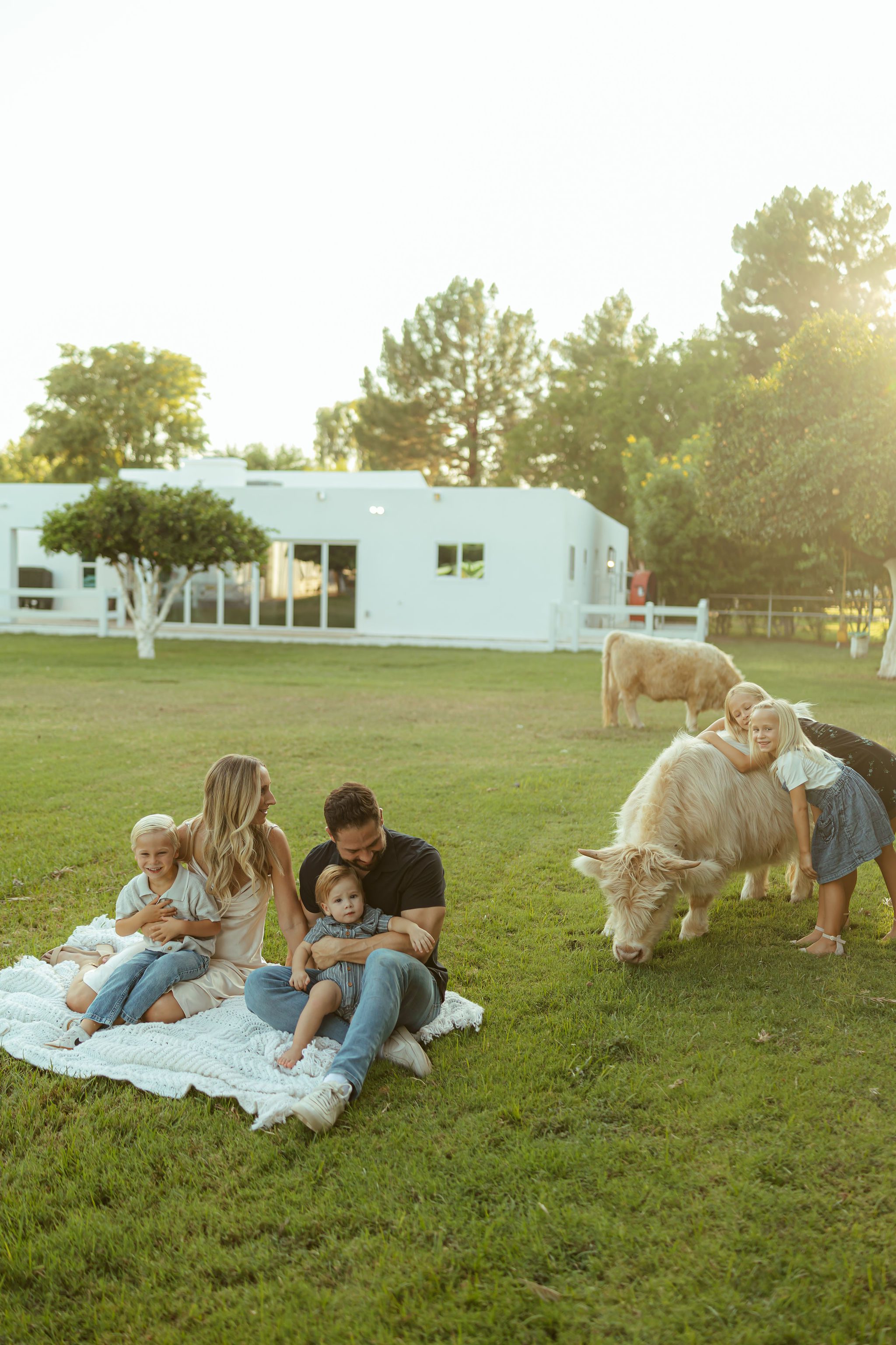 Arizona family photography showing a wide, cinematic view of a modern family session at Bloomstead AZ farm in Gilbert during a sun-drenched evening.