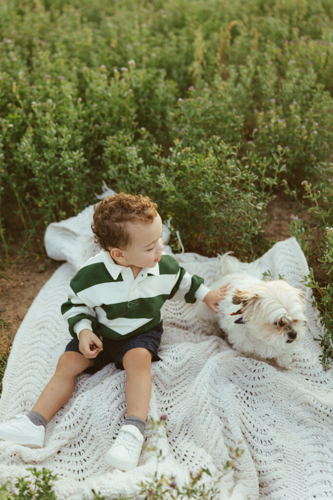 Close-up portrait of a toddler during a Queen Creek family photography session
