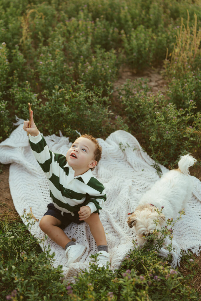 Toddler sitting on a blanket with his dog during family photography in Queen Creek, Arizona