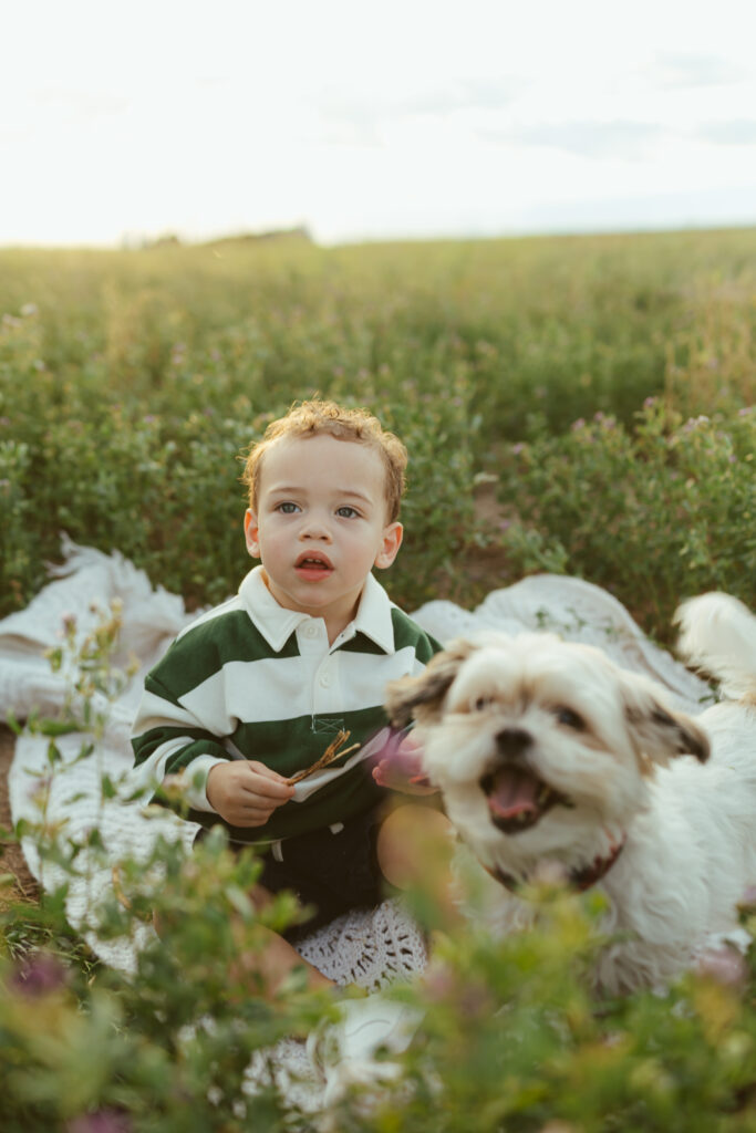 Toddler playing with his dog on a blanket during an outdoor Arizona family photo session